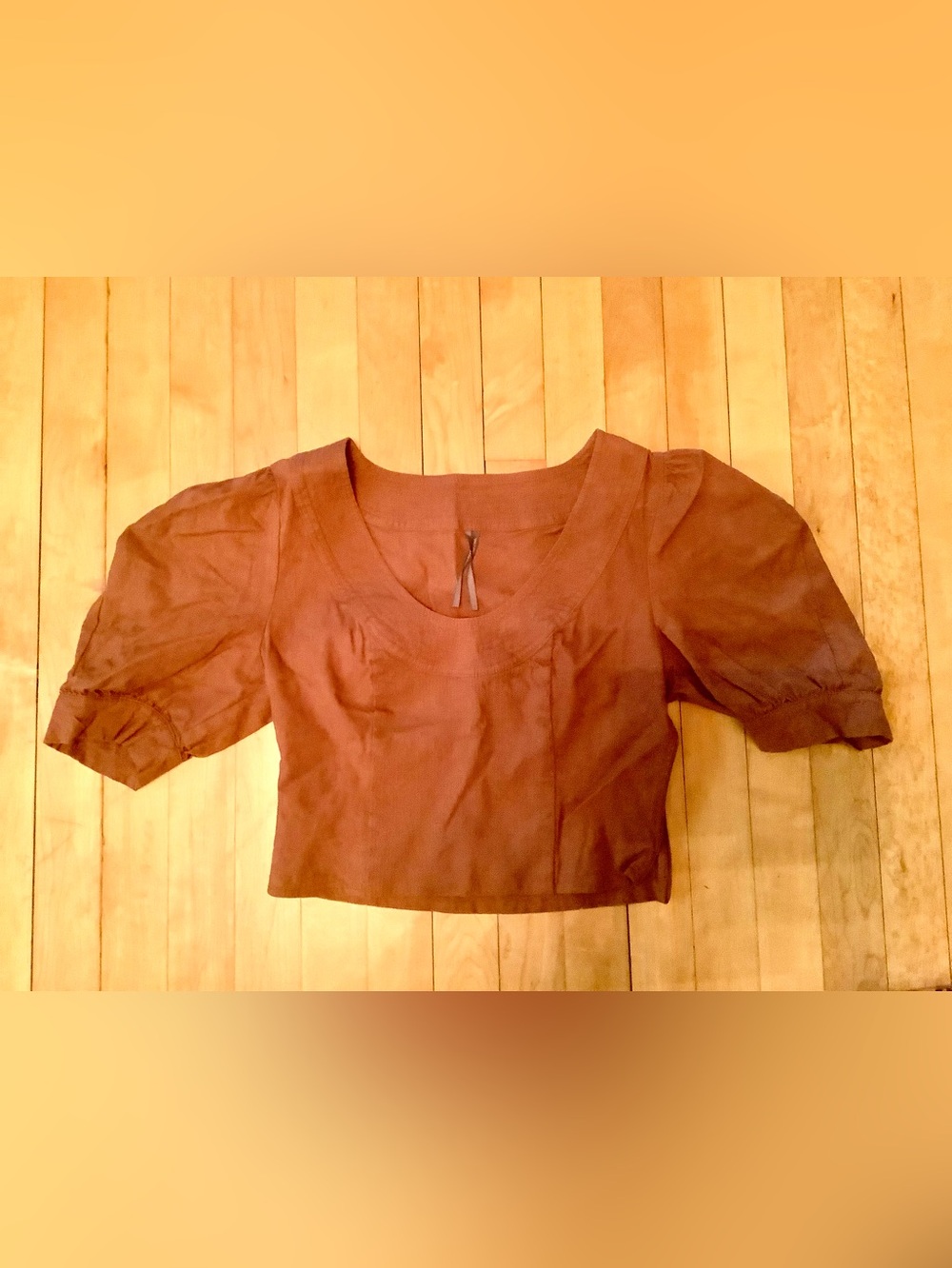 Anthropologie Brown Puff Sleeve Crop Top